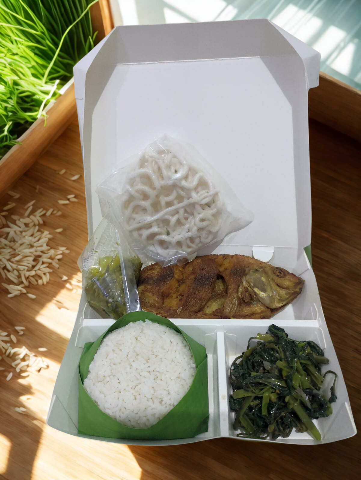 WhatsApp Image 2026-01-17 at 22.22.25 (2)